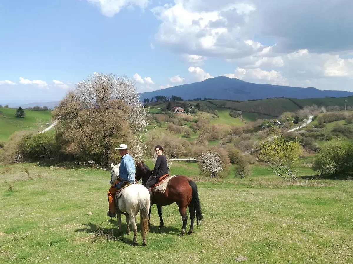 Agriturismo La Guinza Arcidosso