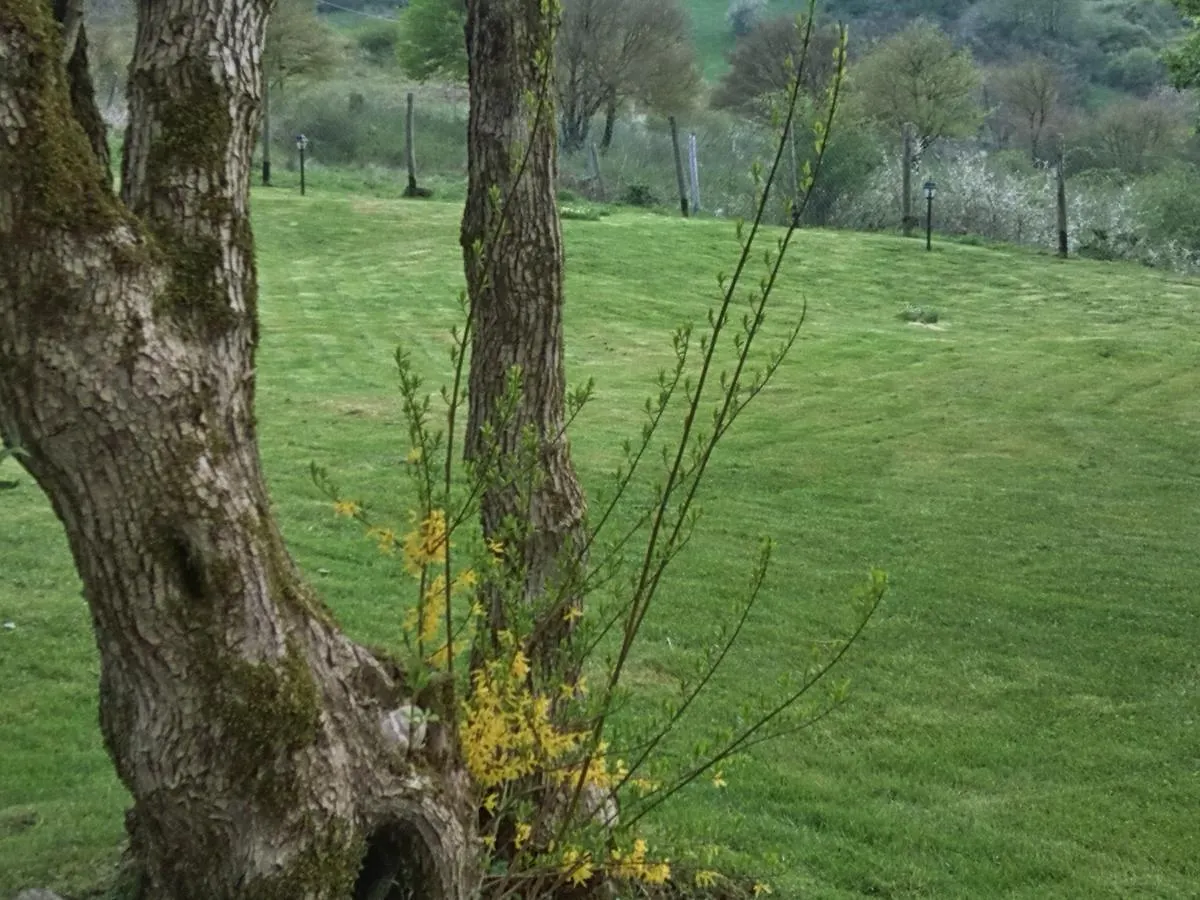 Agriturismo La Guinza Arcidosso 0*,