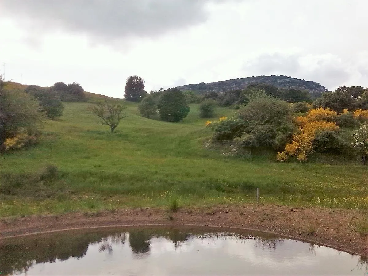 Agriturismo La Guinza Arcidosso Italy
