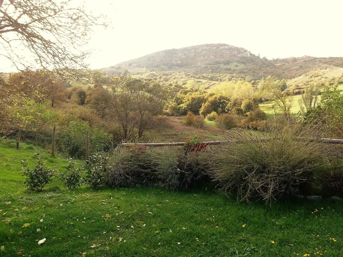 Agriturismo La Guinza Arcidosso
