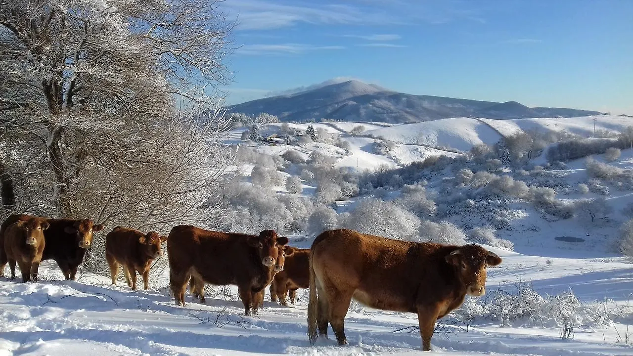 Vakantieboerderij Agriturismo La Guinza Arcidosso